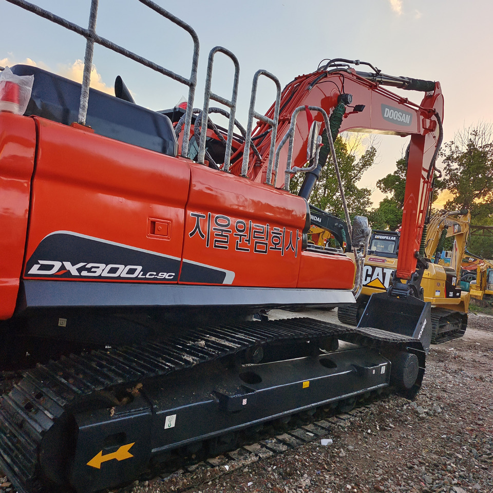 Excavadora de cadenas DOOSAN DX 300 LC - 9 C: foto 18